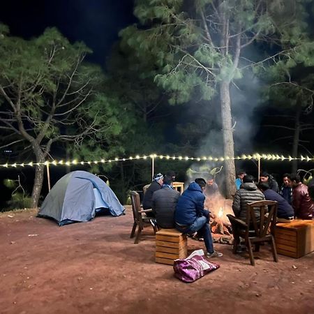 Hotel Tribe View - Away From City Hustle !! Top Rated & Most Awarded Property !! A Peaceful Stay Kasauli Ngoại thất bức ảnh