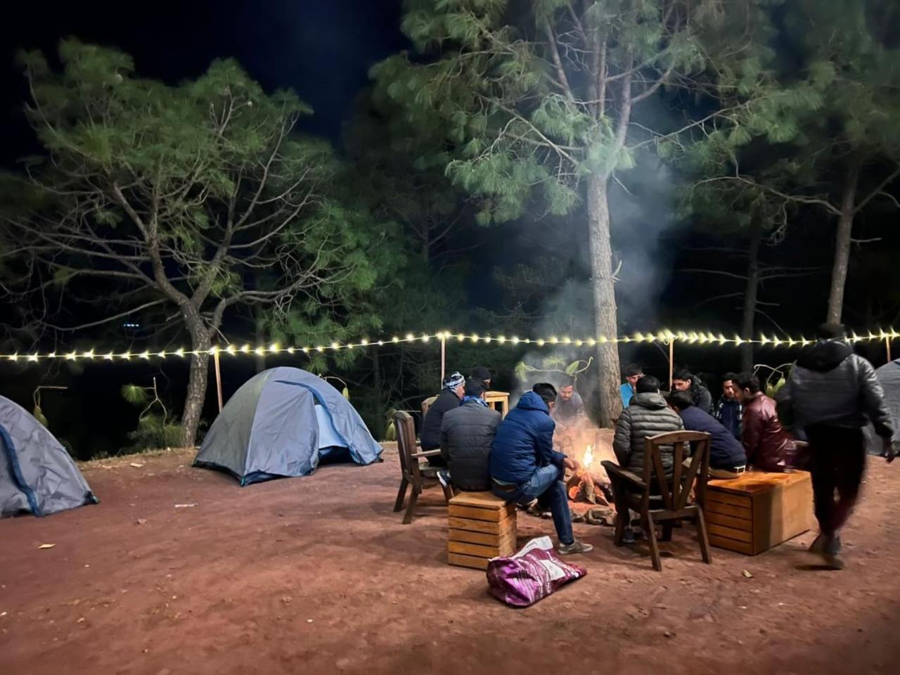 Hotel Tribe View - Away From City Hustle !! Top Rated & Most Awarded Property !! A Peaceful Stay Kasauli Ngoại thất bức ảnh